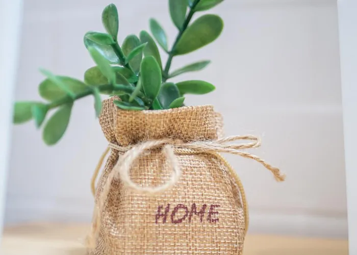 דירה Boho House, אלבופיירה